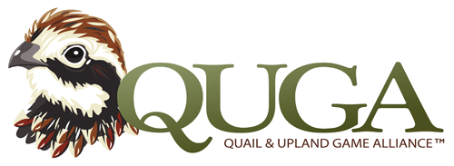 QUGA Logo 500px