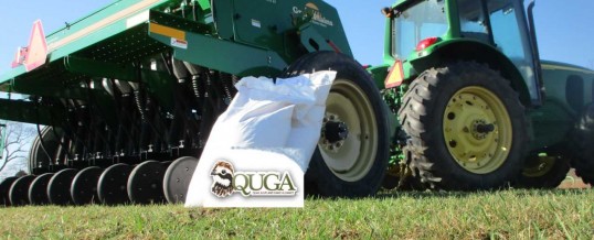 QUGA 2021 SEED Program