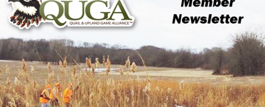 QUGA Winter Newsletter 2020